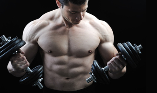 bodypart