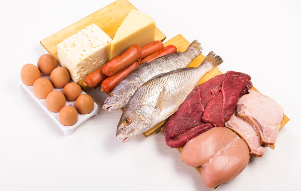 WHAT IS A “HIGH-QUALITY” PROTEIN?