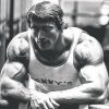 build muscle