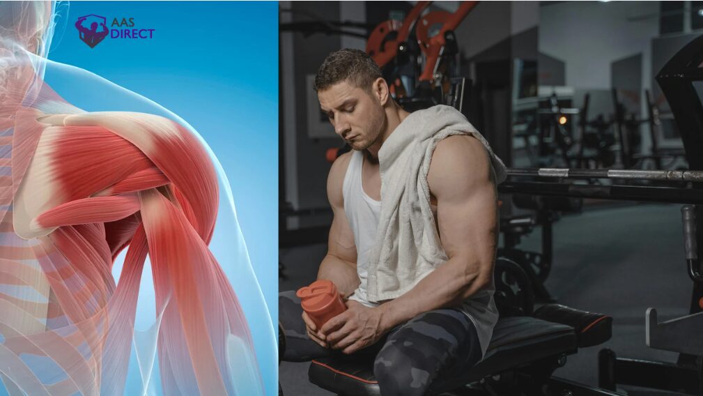KPV Peptide for Bodybuilding