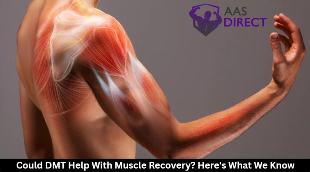 DMT Help With Muscle Recovery