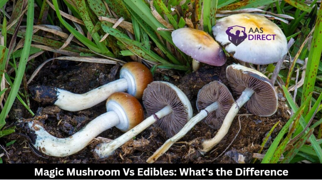 Magic Mushroom Vs Edibles