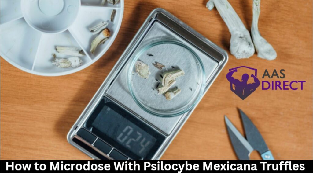 Microdose With Psilocybe Mexicana Truffles