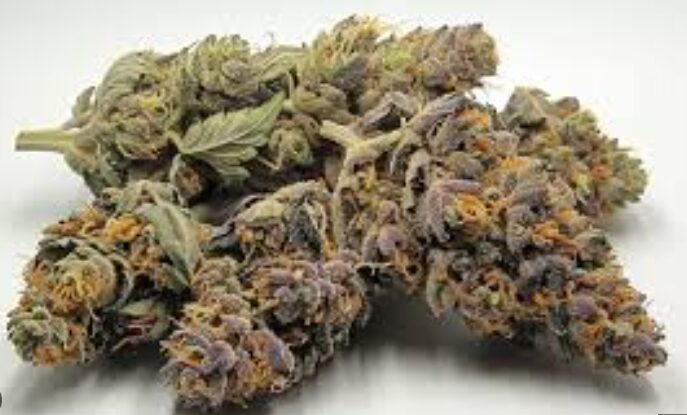 The Legendary Cannabis OG Kush Strain Variety Explained (2)