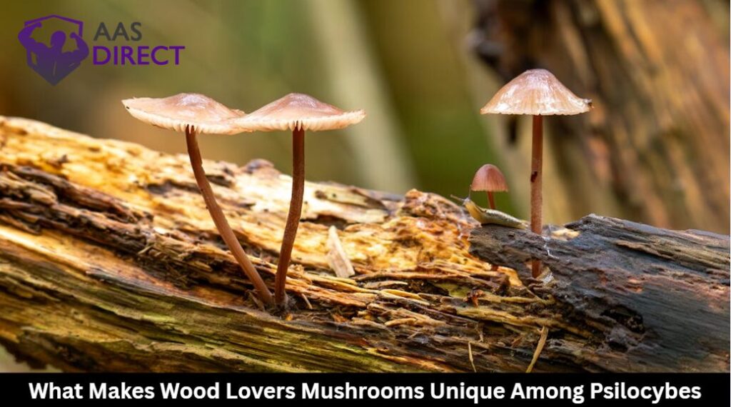 Wood Lovers Mushrooms