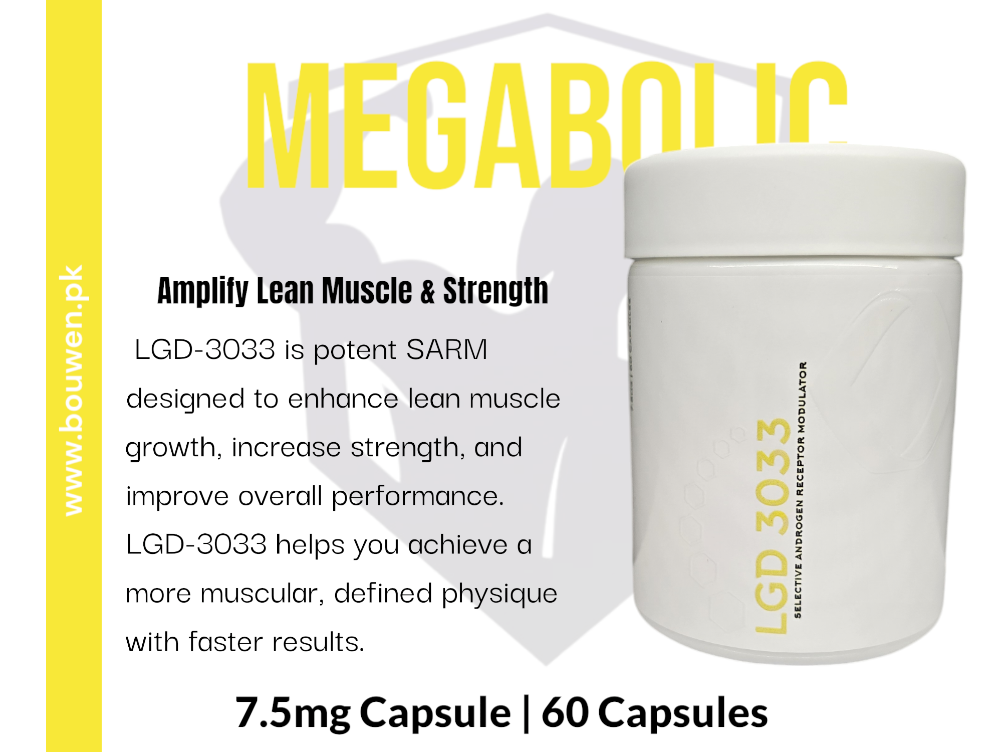 Megabolic (LGD-3033)